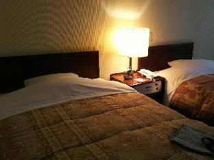 Hakodate Park Hotel Rum bild